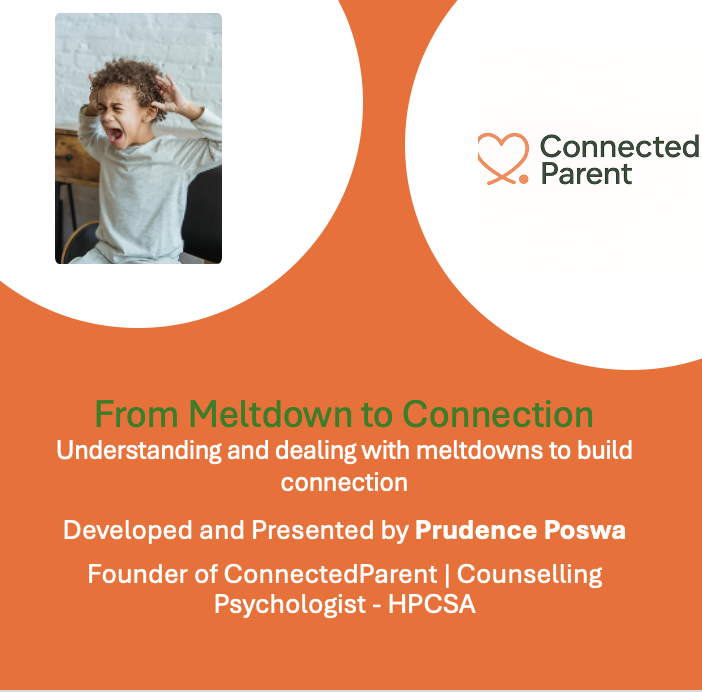Toddler Tantrum Toolkit | From Meltdown to Connection